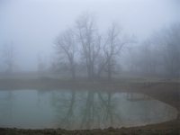Image: Ghostly pond