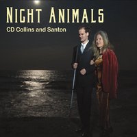 Night Animals album cover