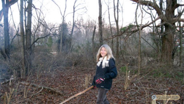 Slash and burn