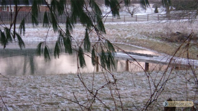 The pond in winter